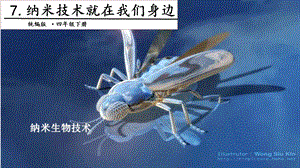 人教部編版四年級下冊語文7.納米技術就在我們身邊第二課時 課件.pptx