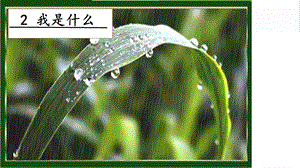 人教部編版二年級上冊語文2我是什么 課件.pptx