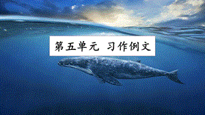 人教部編版五年級上冊語文習作例文課件.pptx