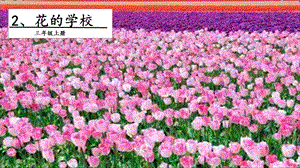 人教部編版三年級上冊語文2花的學校課件.pptx