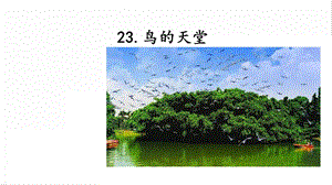 人教部編版五年級上冊語文23.鳥的天堂 課件.pptx