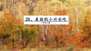 人教部編版三年級上冊語文20 美麗的小興安嶺 課件.pptx