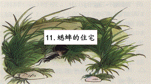人教部編版四年級上冊語文11《蟋蟀的住宅》 課件.pptx