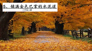 人教部編版三年級上冊語文5 鋪滿金色巴掌的水泥道 課件.pptx