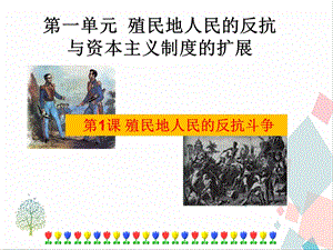 人教部編版九下道德與法治1《殖民地人民的反抗斗爭》課件.ppt