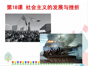 人教部編版九下道德與法治18《社會主義的發展與挫折》課件.pptx
