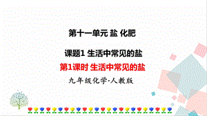 人教版九年級下冊化學第1課時《生活中常見的鹽》課件.ppt