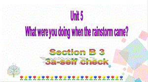 人教版八年級下冊英語Unit5SectionB3a-selfcheck課件.ppt