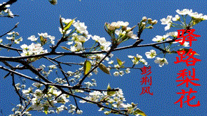 人教部編版七年級下語文15.驛路梨花課件.pptx