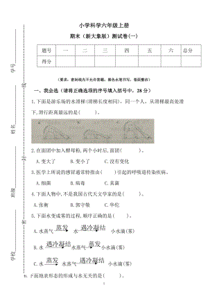 大象版六年級上冊科學期末測試卷（一）（含答案）.docx