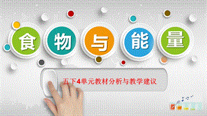 大象版五下科學(xué)4《食物與能量》單元教材分析與教學(xué)建議.pptx
