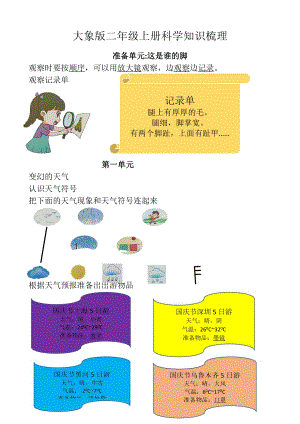 大象版二年級科學上冊期末知識點梳理.docx