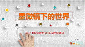 大象版六上科學第一單元《顯微鏡下的世界》單元教材分析與教學建議.pptx