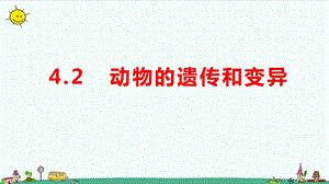 大象版六年級上冊科學4.2《動物的遺傳和變異》教學課件.pptx