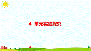 大象版六年級科學(xué)下冊 第4單元實驗探究(含練習(xí))課件(共7張PPT).pptx