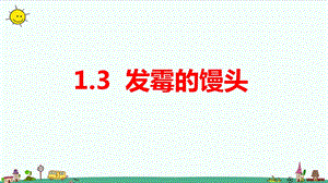 大象版六年級上冊科學1.3發霉的饅頭教學課件.pptx