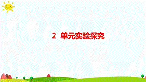 大象版六年級(jí)科學(xué)下冊(cè) 第2單元實(shí)驗(yàn)探究(含練習(xí))課件(共13張PPT).pptx