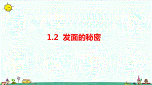 大象版六年級上冊科學1.2發面的秘密課件.pptx