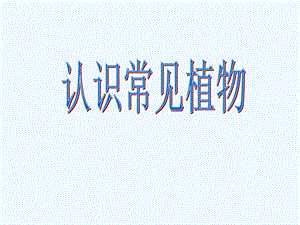 大象版一年級下冊科學2.1認識常見植物PPT課件2.ppt