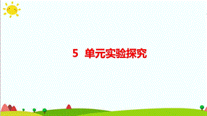 大象版六年級(jí)科學(xué)下冊(cè) 第5單元實(shí)驗(yàn)探究(含練習(xí))課件(共11張PPT).pptx