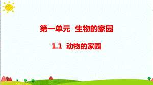 大象版六年級科學下冊 1.1動物的家園 課件(共18張PPT 含練習).pptx