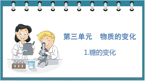 大象版六年級下冊科學3.1糖的變化（課件）.pptx
