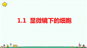 大象版六年級上冊科學1.1顯微鏡下的細胞教學課件.pptx