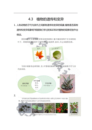 大象版六年級(jí)上冊(cè)科學(xué)4.3.植物的遺傳和變異 知識(shí)點(diǎn).docx