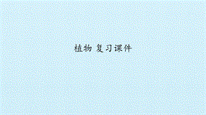 冀人版一年級(jí)上冊(cè)科學(xué)《植物》復(fù)習(xí)課件.pptx