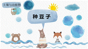 冀人版二年級下冊科學3.9種豆子課件（16張PPT） 課件.pptx
