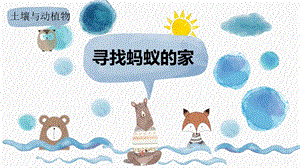 冀教版科學二年級下冊3.7尋找螞蟻的家課件.pptx