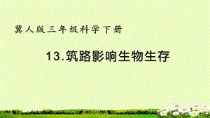 冀人版三年級(jí)下冊(cè)科學(xué)13筑路影響生物生存課件(共16張PPT).pptx