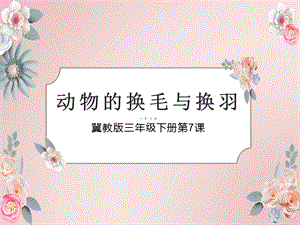 冀人版三年級下冊科學(xué)08動物的換毛與換羽課件（共11張）.pptx