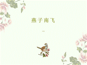冀人版三年級下冊科學07《燕子南飛》課件（共13張）.pptx