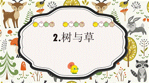 冀人版三年級下冊科學02《樹與草》課件（共18張）.pptx