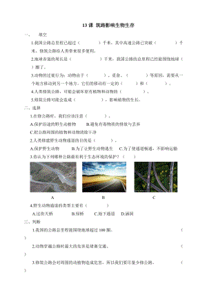 冀人版三年級下冊科學13：筑路影響生物生存同步試卷（含答案）.doc