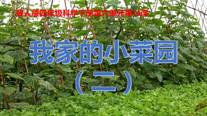 冀人版四年級(jí)下冊(cè)科學(xué)19：《我家的小菜園（二）》課件.pptx