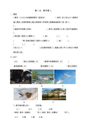 冀人版三年級(jí)下冊(cè)科學(xué)07：燕子南飛同步試卷（含答案）.doc