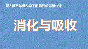 冀人版四年級下冊科學13：消化與吸收課件.pptx