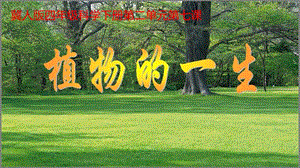 冀人版四年級下冊科學(xué)07：《植物的一生》課件.pptx