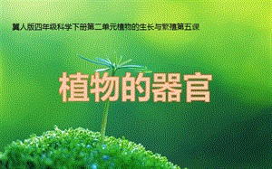 冀人版四年級下冊科學(xué)05：《植物的器官》課件.pptx