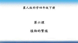 冀人版四年級下冊科學06：植物的繁殖 課件32張.pptx