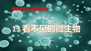 冀人版五年級下冊科學第13課《看不見的微生物》課件.pptx