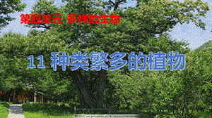 冀人版五年級下冊科學第11課種類繁多的植物課件.pptx
