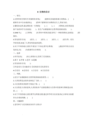 冀人版六年級下冊科學8+生物的啟示課時練習題含答案.docx