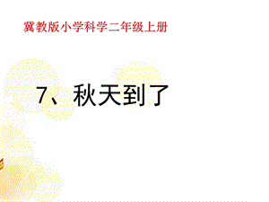 冀人版二年級(jí)上冊(cè)科學(xué)7 秋天到了 課件.pptx