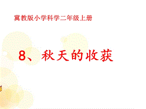 冀人版二年級上冊科學8秋天的收獲課件.pptx