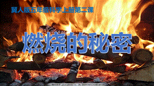 冀人版五年級上冊科學第02課《燃燒的秘密》共14張.pptx