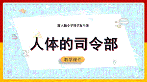 冀人版五年級上冊科學第06課人體的司令部共22張.pptx