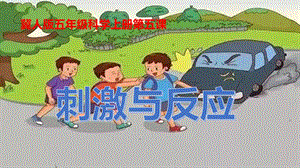 冀人版五年級上冊科學第05課《刺激與反應》共18張.pptx